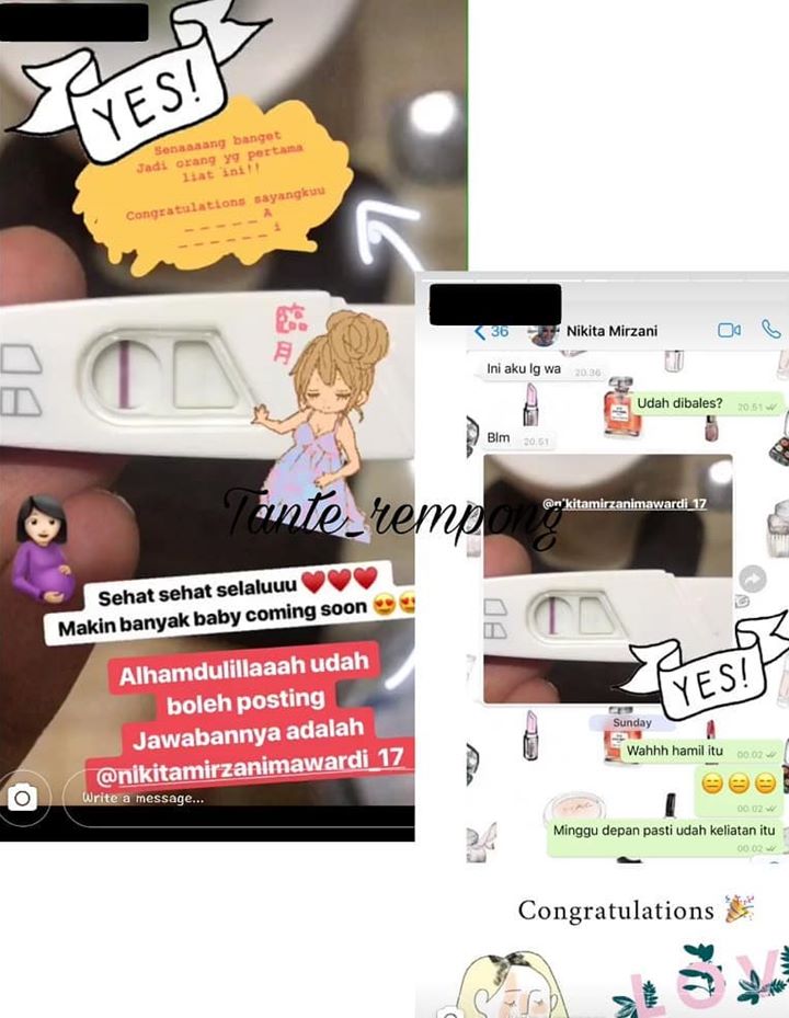 Alat Tes Kehamilan