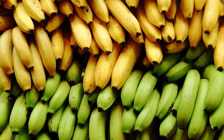 Wajib Tahu, Ternyata Manfaat Pisang Berbeda Tergantung Tingkat Kematangan