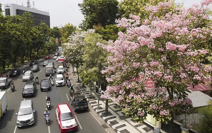 Image result for Surabaya jadi kota yang cantik