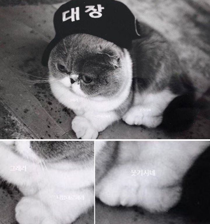 CL Unggah Postingan Ambigu di InstaStory, Sindir Yang Hyun Suk?