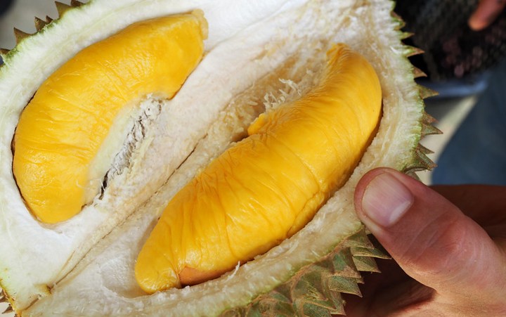 Punya Segudang Nutrisi