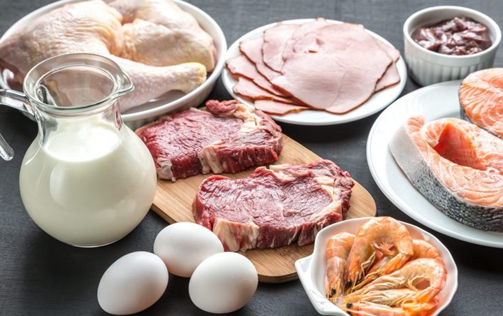 Makan Terlalu Banyak Protein