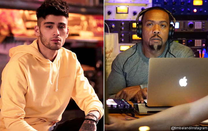 Siap Rilis Single Baru, Zayn Malik Gaet Timbaland