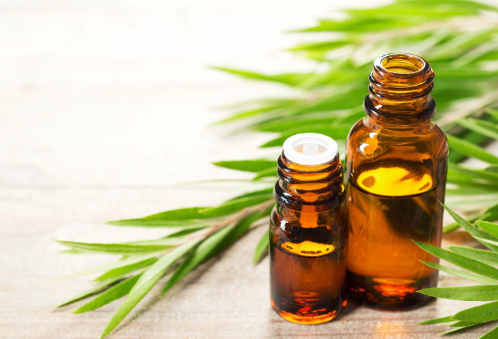 Tea Tree Oil