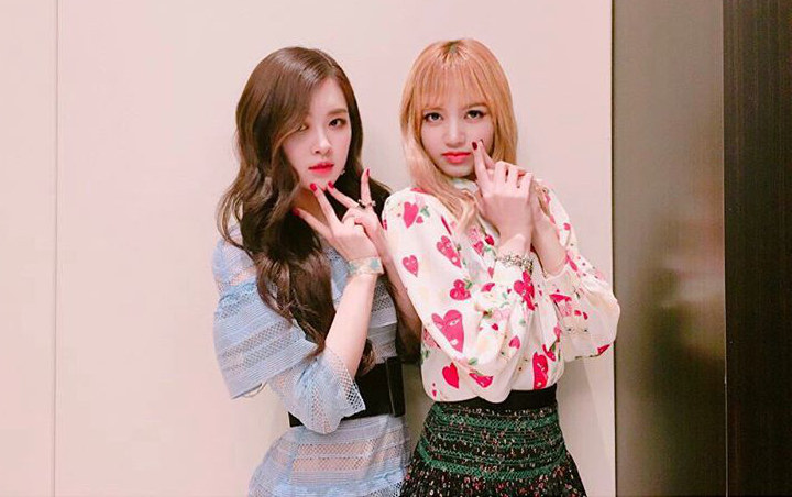 Jadi Model Sampul Dazed Korea Intip Pesona Kecantikan Lisa Dan Rose