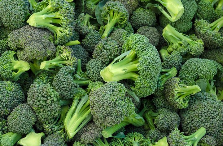 Brokoli dapat Menjaga Daya Ingat