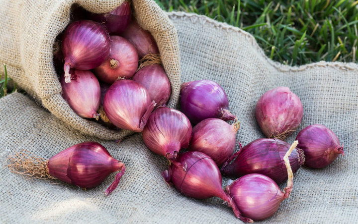 Manfaat Bawang Merah untuk Atasi 6 Jenis Kanker Berbahaya Ini 