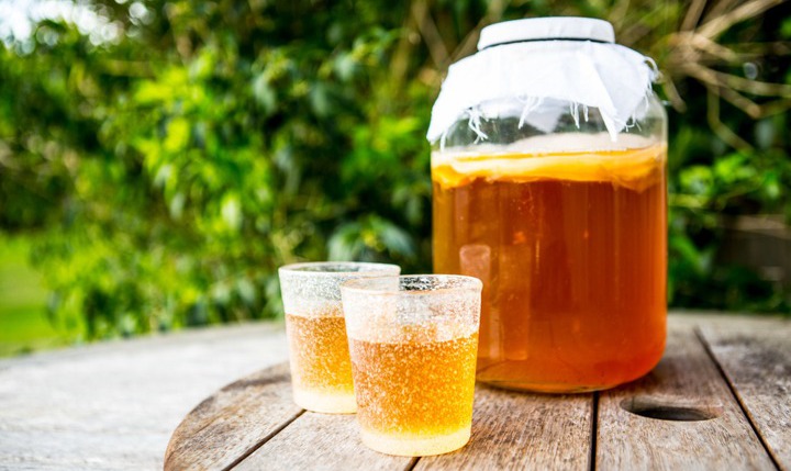 Sehat Sebagai Pengganti Kopi, Kombucha Justru Dilarang Diminum Sebelum Olahraga