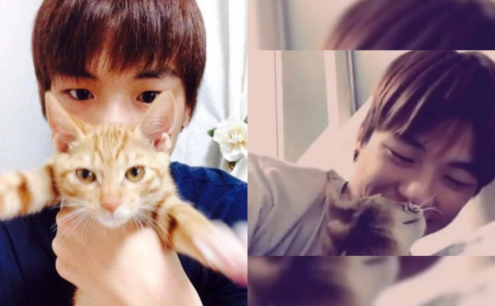 Kucing baru Kang Daniel