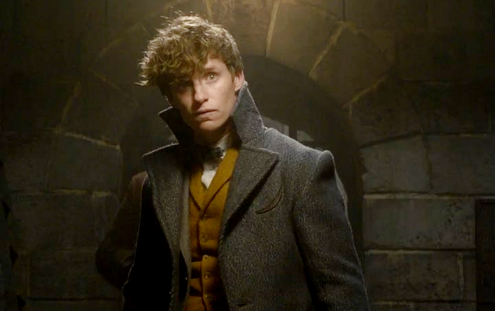 'Fantastic Beasts 2' Bagikan Poster Baru, Leta Lestrange Jadi Rebutan Newt dan Theseus Scamander