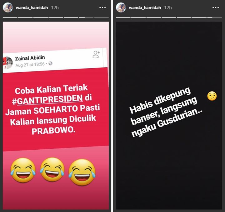 Sindiran Wanda Hamidah
