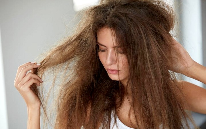 Mengatasi Rambut Kering dengan Madu