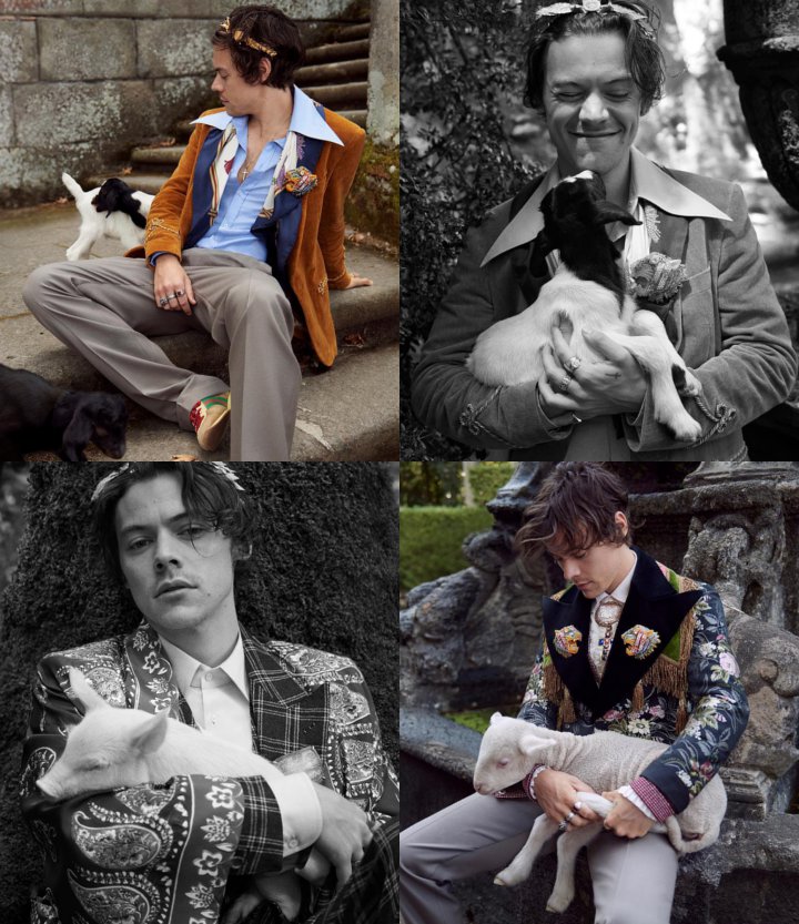 Hary Stykes brand ambassador gucci