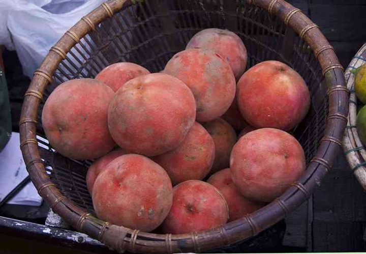  Buah Bisbul