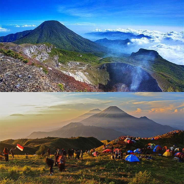 Gunung Gede Pangrango Sajikan Padang Edelweis