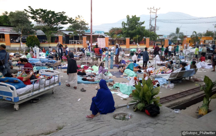 384 Orang Tewas, Sutopo Perkirakan Korban Gempa Tsunami Palu Terus Bertambah