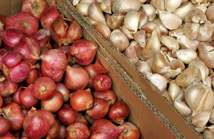 Atasi Masuk Angin dengan Bawang Merah dan Bawang Putih