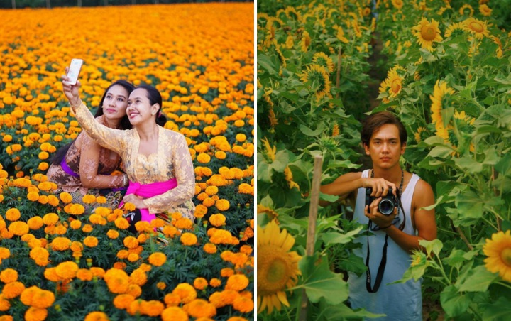 6 Pilihan Wisata Kebun Bunga Kece di Indonesia untuk yang Suka Selfie