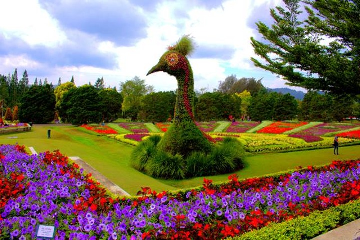 Taman Bunga Nusantara di Bogor Sajikan Wisata Ala 3 Benua