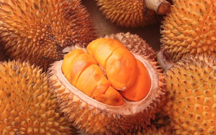Buah Lai Sejenis Durian Tanpa Aroma