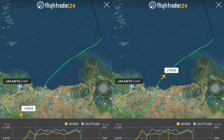 Jam Terbang Lion Air Baru 800 Jam, KNKT Cari Black Box untuk Temukan Penyebab Jatuh