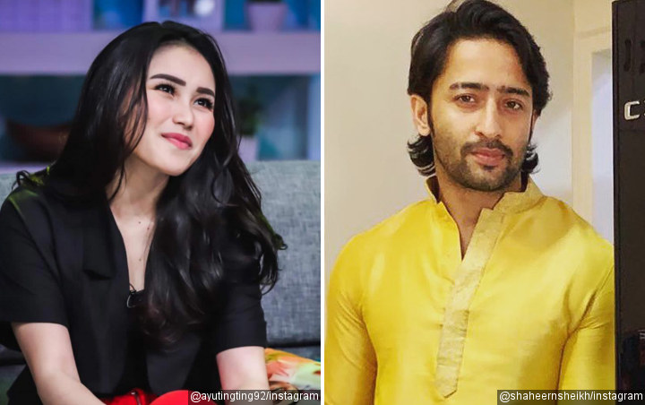 Ayu Ting Ting Dituding Pacari Fransen Susanto, Shaheer Sheikh Tak Mau Kalah?