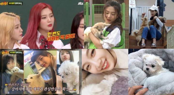 Joy