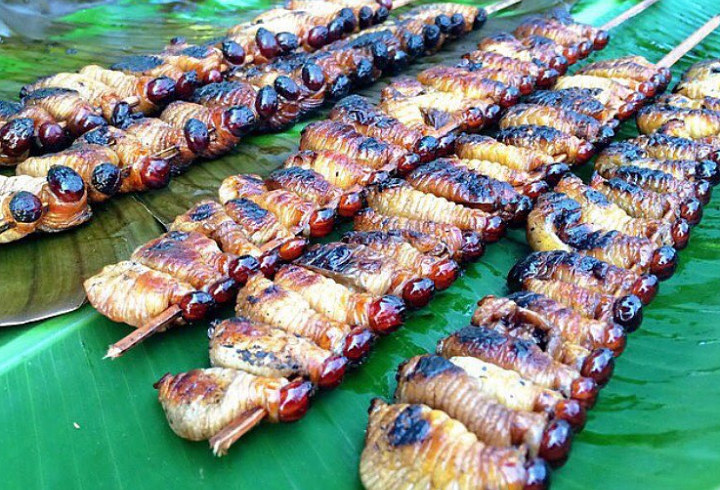 Sate Ulat Sagu Kuliner Tradisional Papua