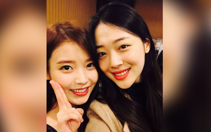 Sulli Datang dan Beri Dukungan untuk Konser 10 Tahun IU, Ini Kata Netter