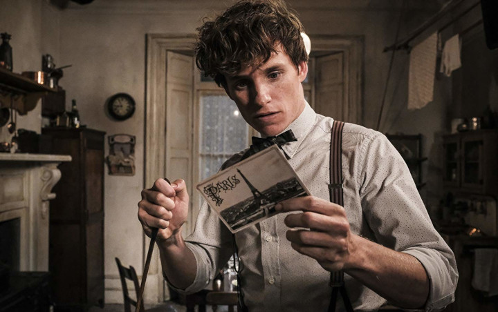 Raup Hingga Rp 3,6 Triliun Secara Global, 'Fantastic Beasts 2' Kukuhkan Posisi di Puncak Box Office