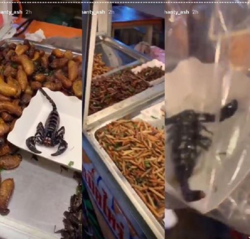 Kuliner ekstrem Thailand