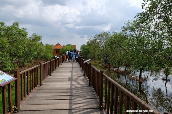 Taman Wisata Hutan Mangrove Wonorejo