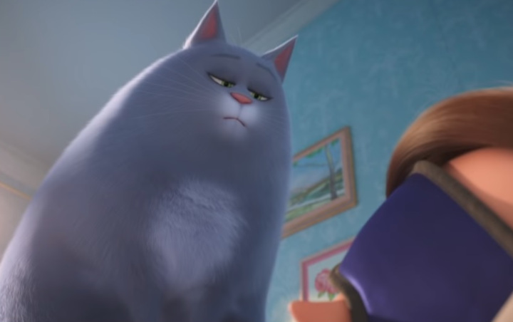 Intip Lucunya Gaya Hidup Chloe, Si Kucing Gendut di 'The Secret Life of Pets 2'