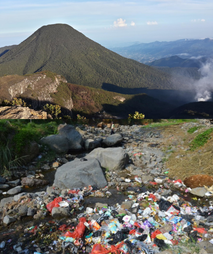Terancam Rusak, Bank Sampah Dibuat di Jalur Pendakian Gunung Gede Pangrango