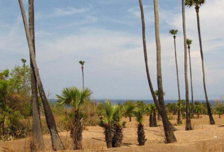 Padang Pasir Pantai Tulamben Bali