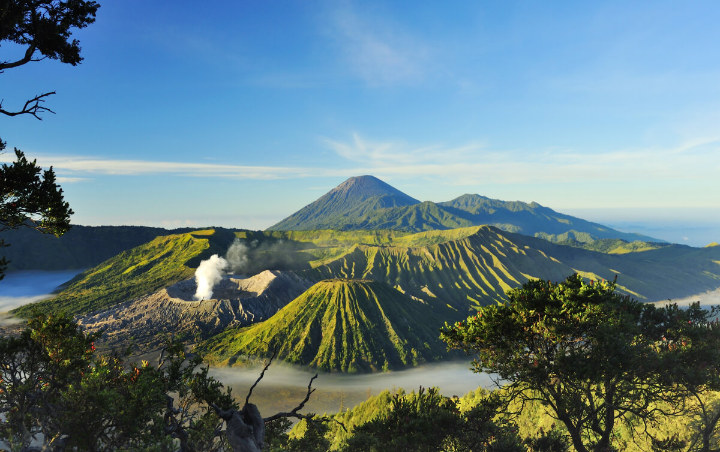 Masuk Warisan Dunia, 8 Tempat Wisata Taman Nasional Indonesia Ini Wajib Dikunjungi untuk Liburan