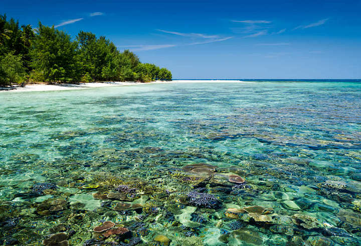 Taman Laut Karimunjawa di Jawa Tengah