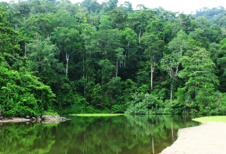 Taman Nasional Meru Betiri di Jawa Timur
