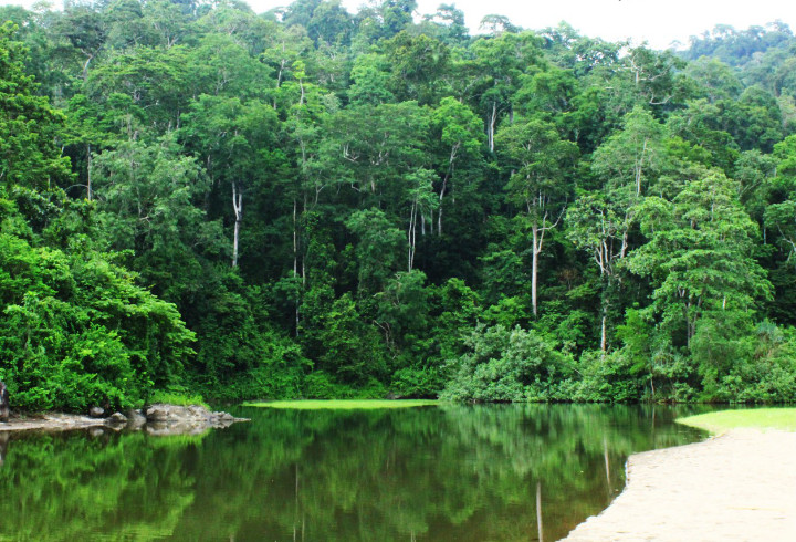 Taman Nasional Meru Betiri Di Jawa Timur