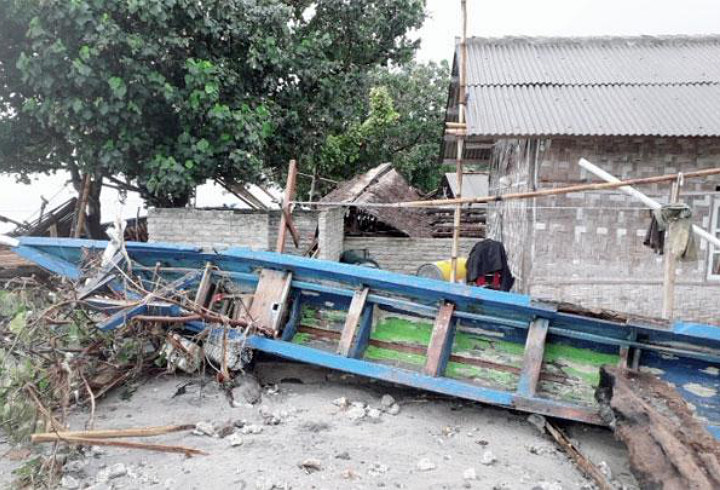 Beberapa Pohon Tumbang di Pulau Sebesi Lampung