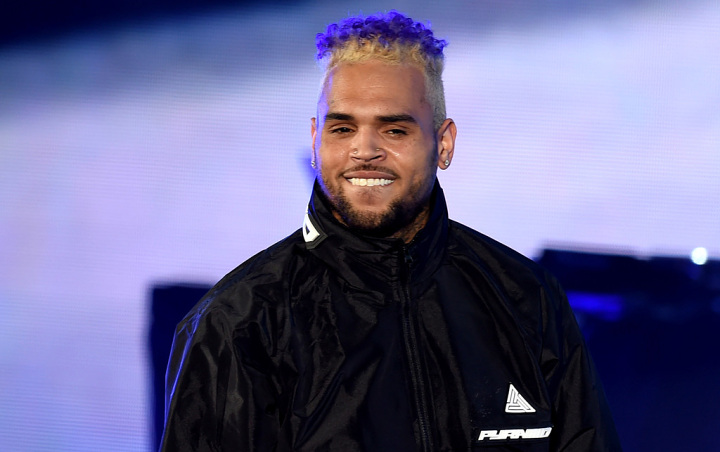 Gara-Gara Memelihara Monyet, Chris Brown Terancam Dipenjara