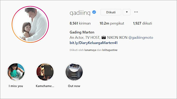 Profil Picture Gading Marten