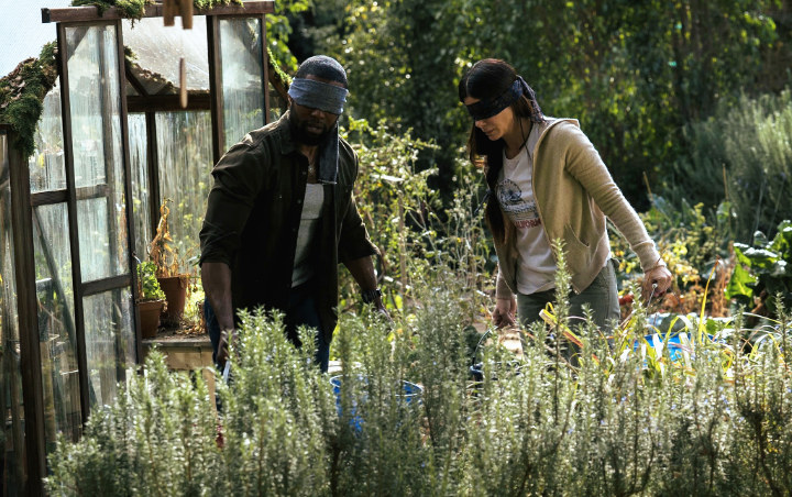Demam 'Bird Box', Restoran Ini Tantang Pelanggan untuk Makan dengan Mata Tertutup