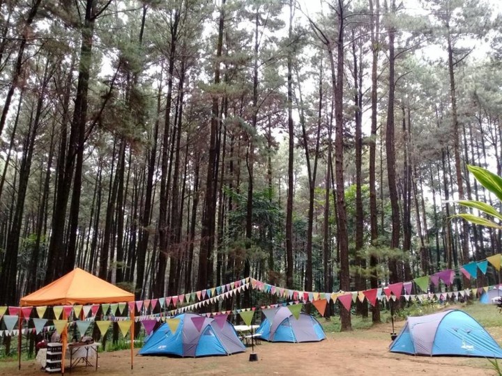 Hutan Pinus Gunung Pancar di Bogor Bisa Jadi Tempat Nongkrong Asyik