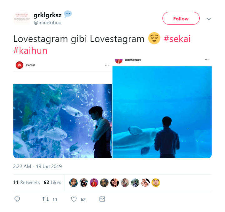 Foto Sehun Tatap Ikan