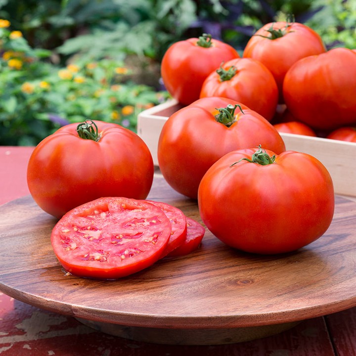 Manfaatkan Tomat untuk Atasi Luka Bakar
