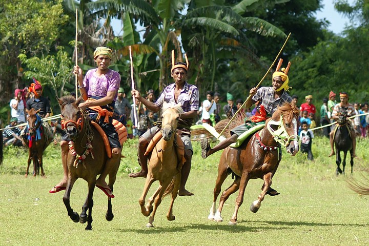 Festival Pasola, Upacara Tradisional Orang Sumba yang Menarik 