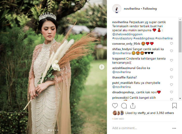 Novi Herlina