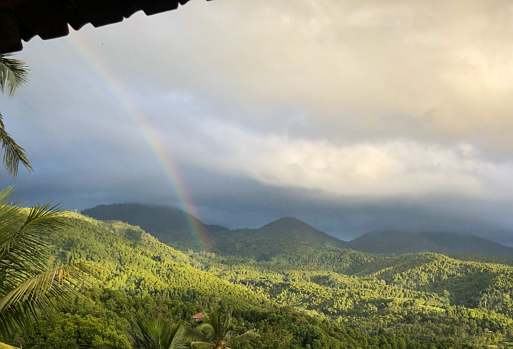 Desa Munduk di Bali yang Disebut Desa di Atas Awan