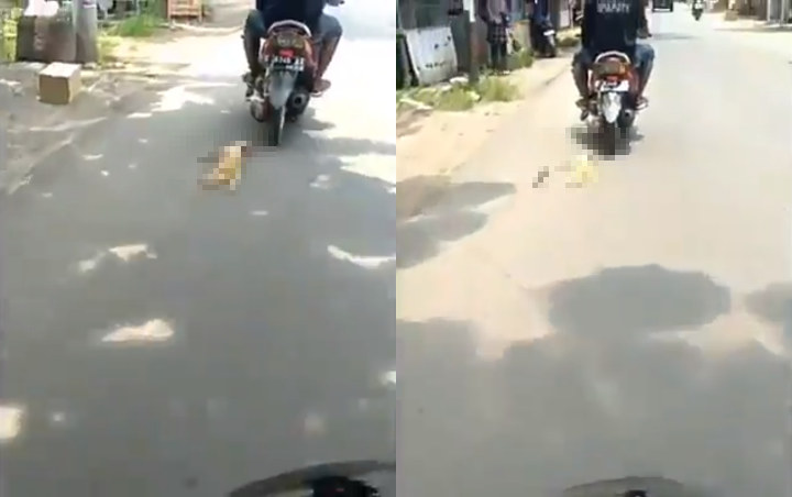 Polisi Ungkap Fakta Sebenarnya Soal Aksi Pria yang Viral Ikat Hingga Seret Kucing di Jalanan